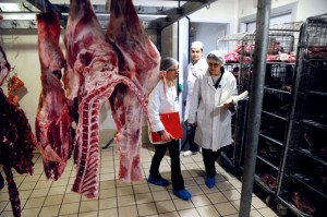 FRANCE-FOOD-HORSEMEAT