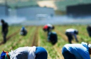 agricoltori-fucino-asl-medici-domicilio