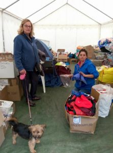 soccorso animali amatrice