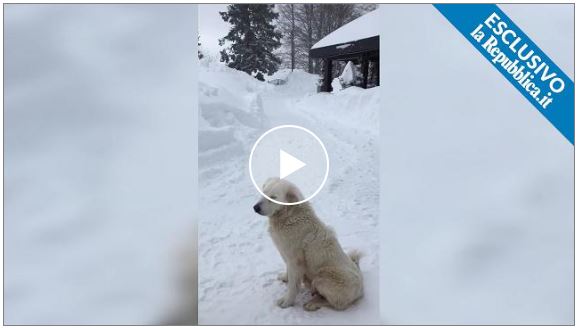 #Rigopiano, l’ultimo scioccante video prima della valanga: la tanta neve impediva l’apertura delle porte