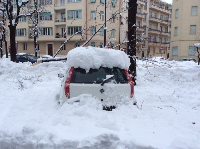#Maltempo: crolla albero su auto, automobilista ferito. Situazione difficile, allarme dei Comuni