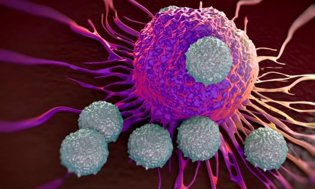 Scoperto dai ricercatori dell’Università D’Annunzio” il meccanismo con cui l’aspirina ferma il cancro