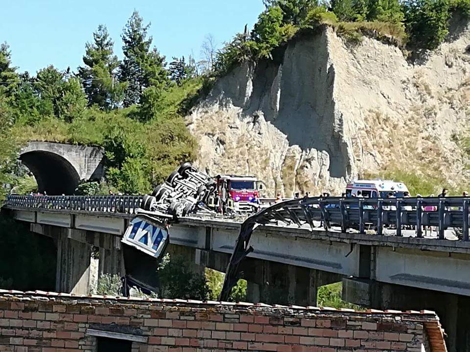 Sono stati aggrediti da un altro animale i cinque cuccioli di lupo rinvenuti morti nel Parco