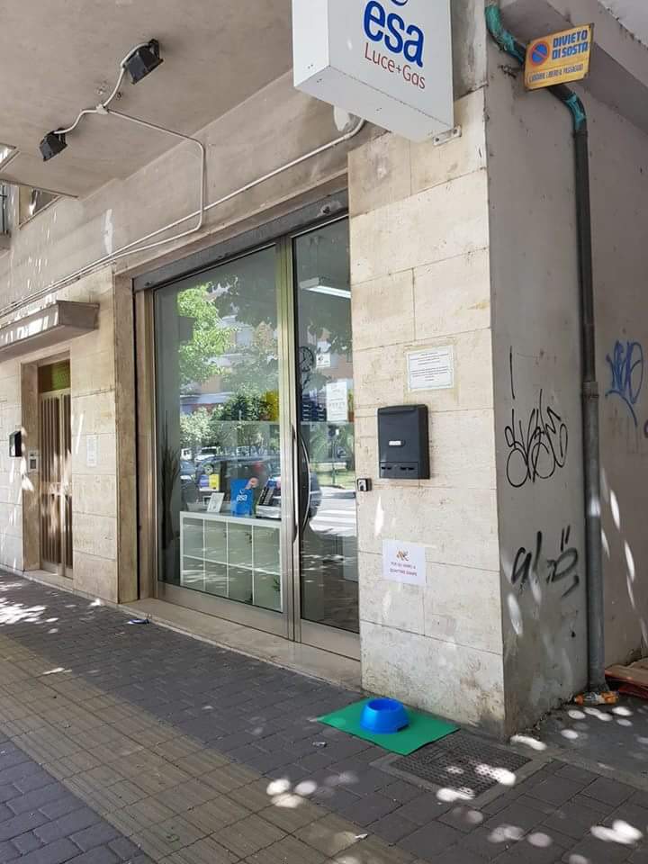 Oltre quaranta gradi in città, ciotole d’acqua comparse in strada per dare ristoro agli animali