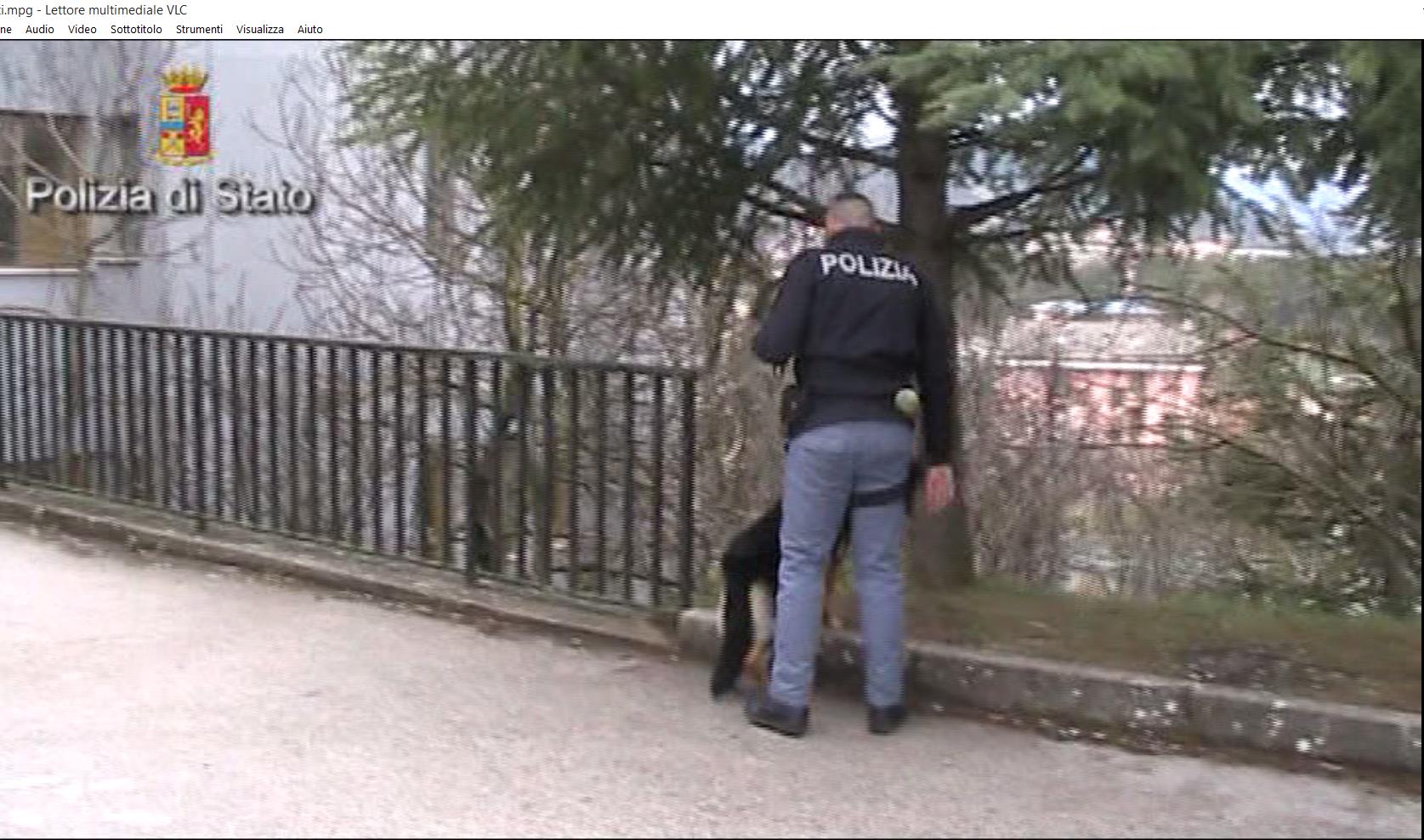 Controlli antidroga nelle scuole dopo le segnalazioni dei dirigenti, rinvenute dosi tra le aiuole