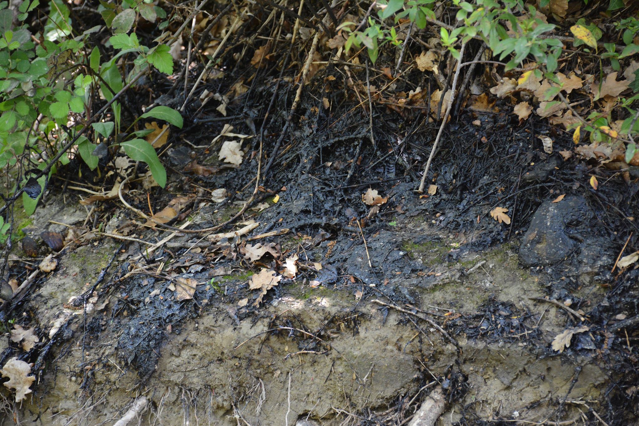 Idrocarburi nel fiume Pescara dal Torrente Arolle, la SOA scrive agli enti per chiedere un intervento urgente