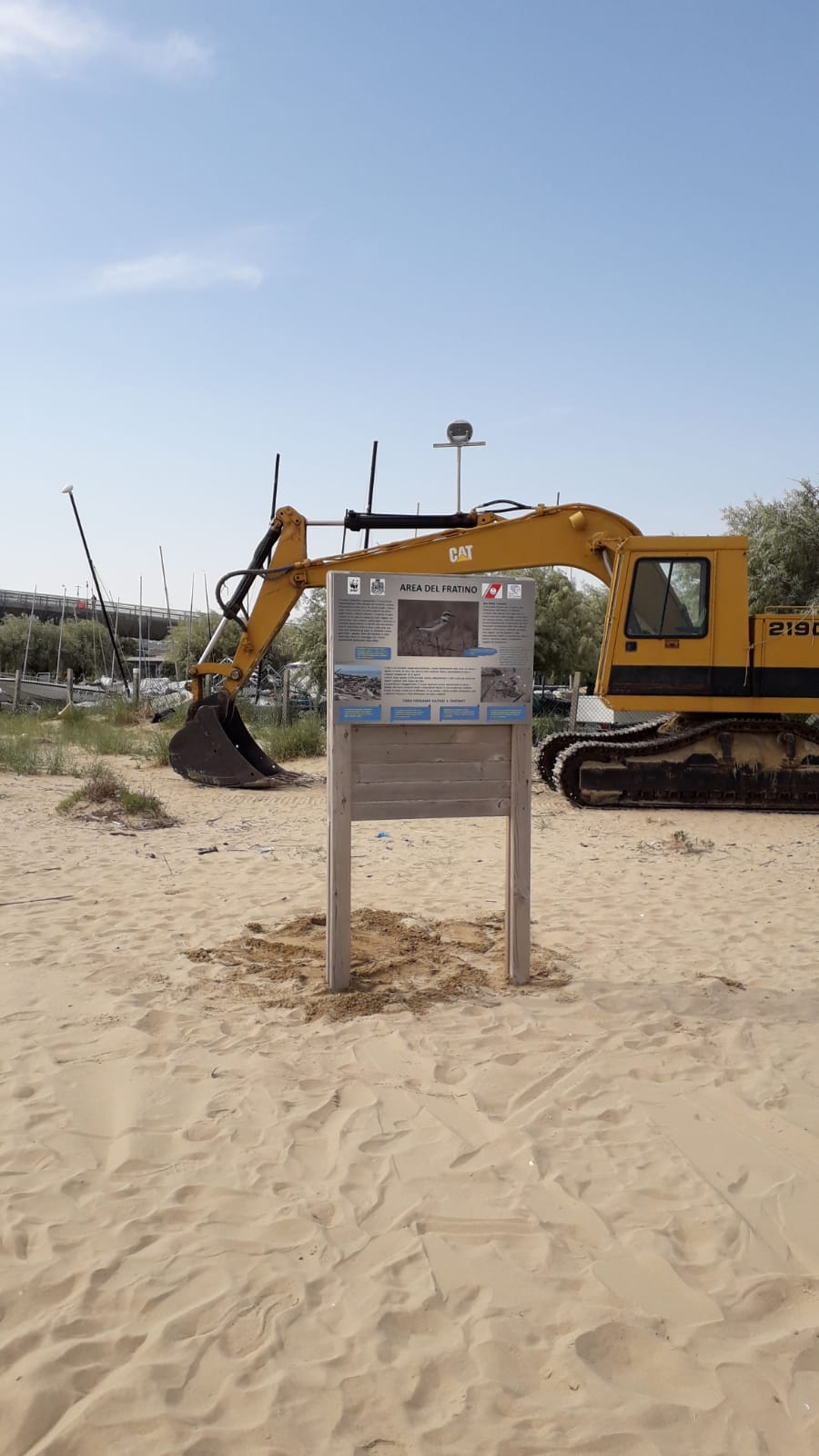 Il Wwf denuncia un nuovo prelievo di sabbia nella zona del fratino a Pescara