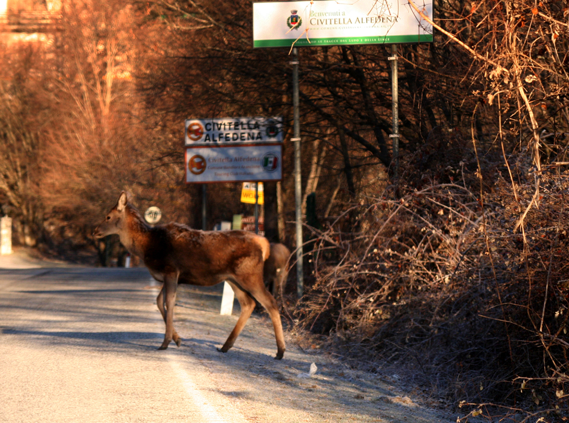 A Civitella Alfedena, marchio di qualità turistico-ambientale, al via la mobilità elettrica urbana