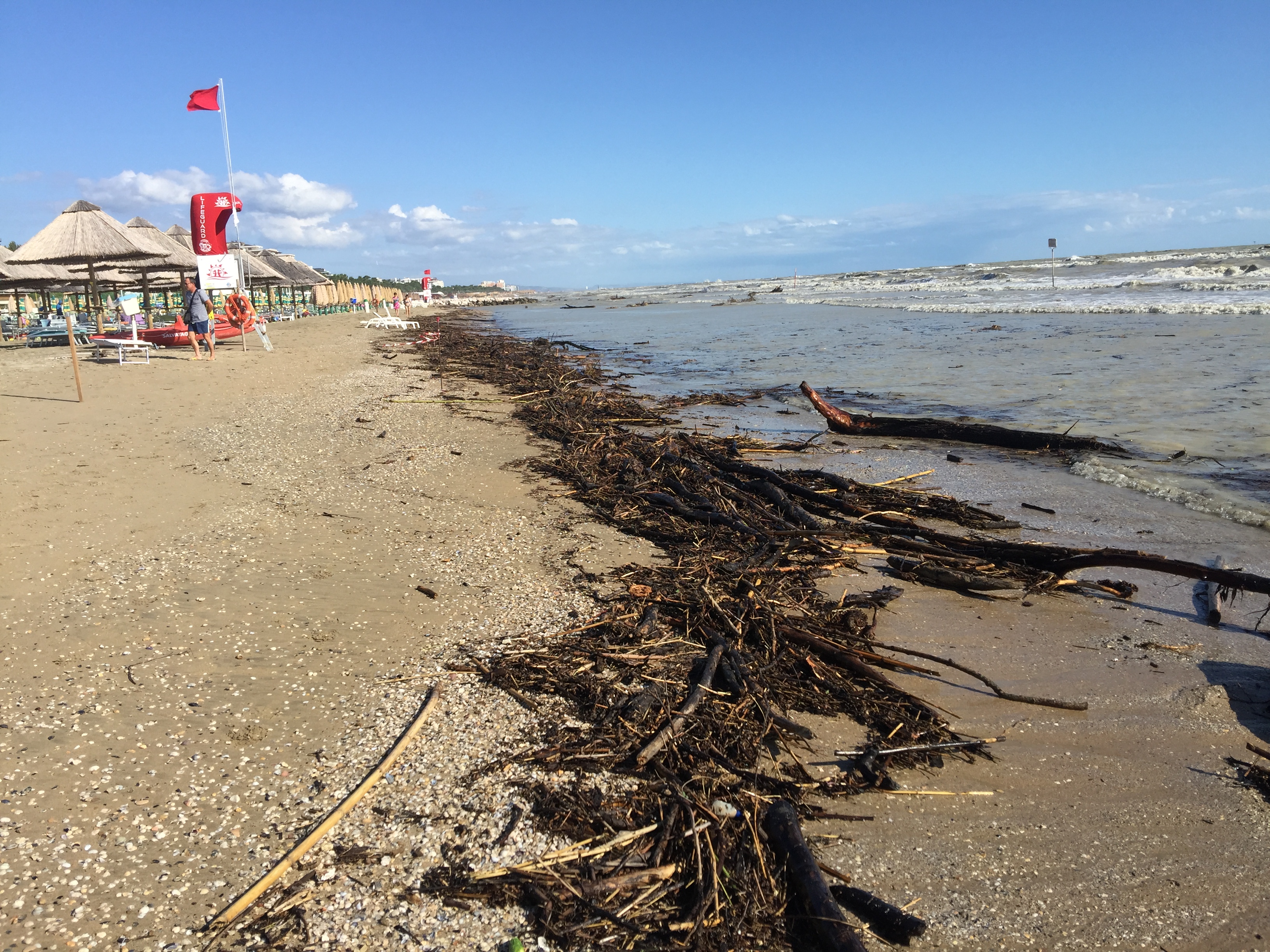 Tronchi spiaggiati sul litorale pescarese, saranno rimossi nella notte da Attiva