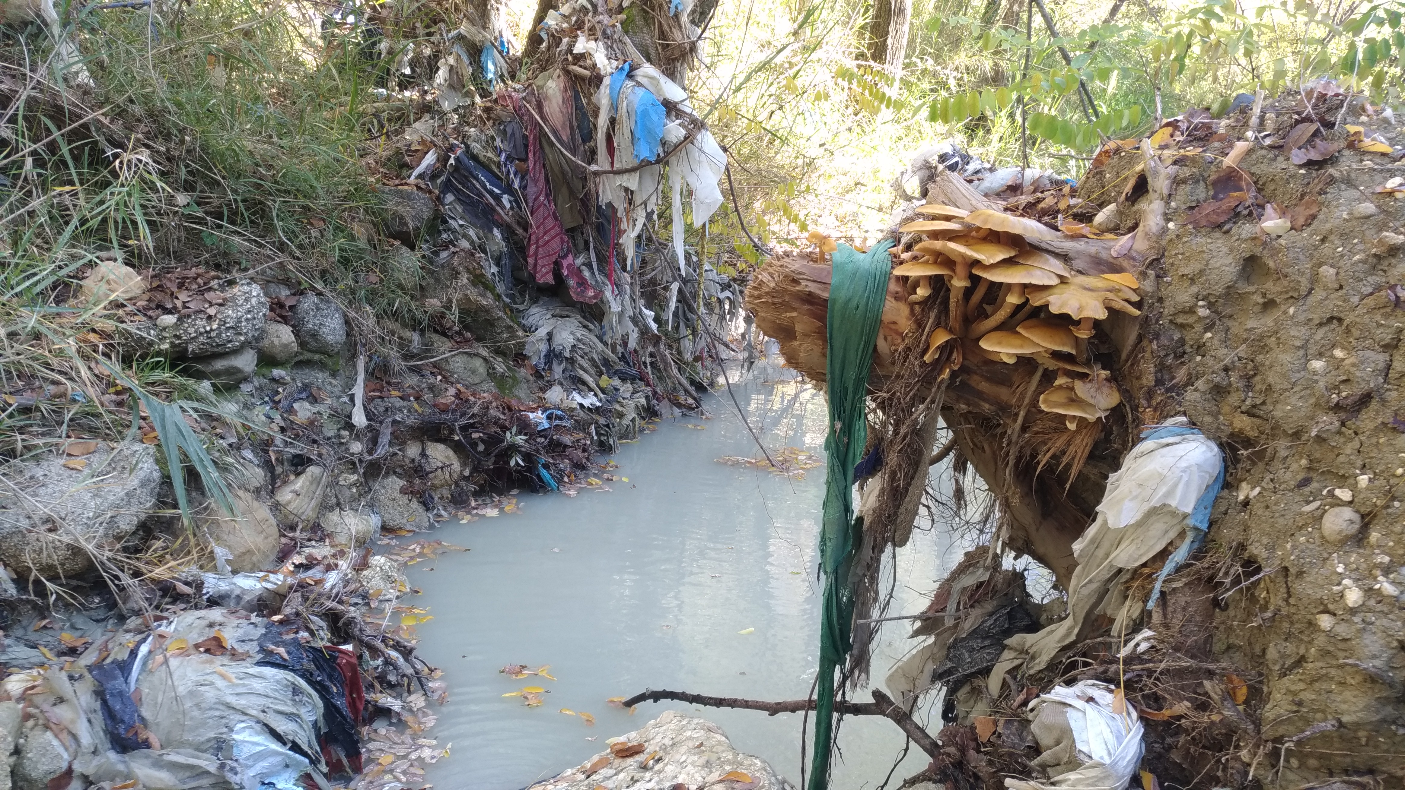 Ritardi e inadempienze sulla bonifica del torrente Laio in Abruzzo, la Soa denuncia: è un fiume di plastica