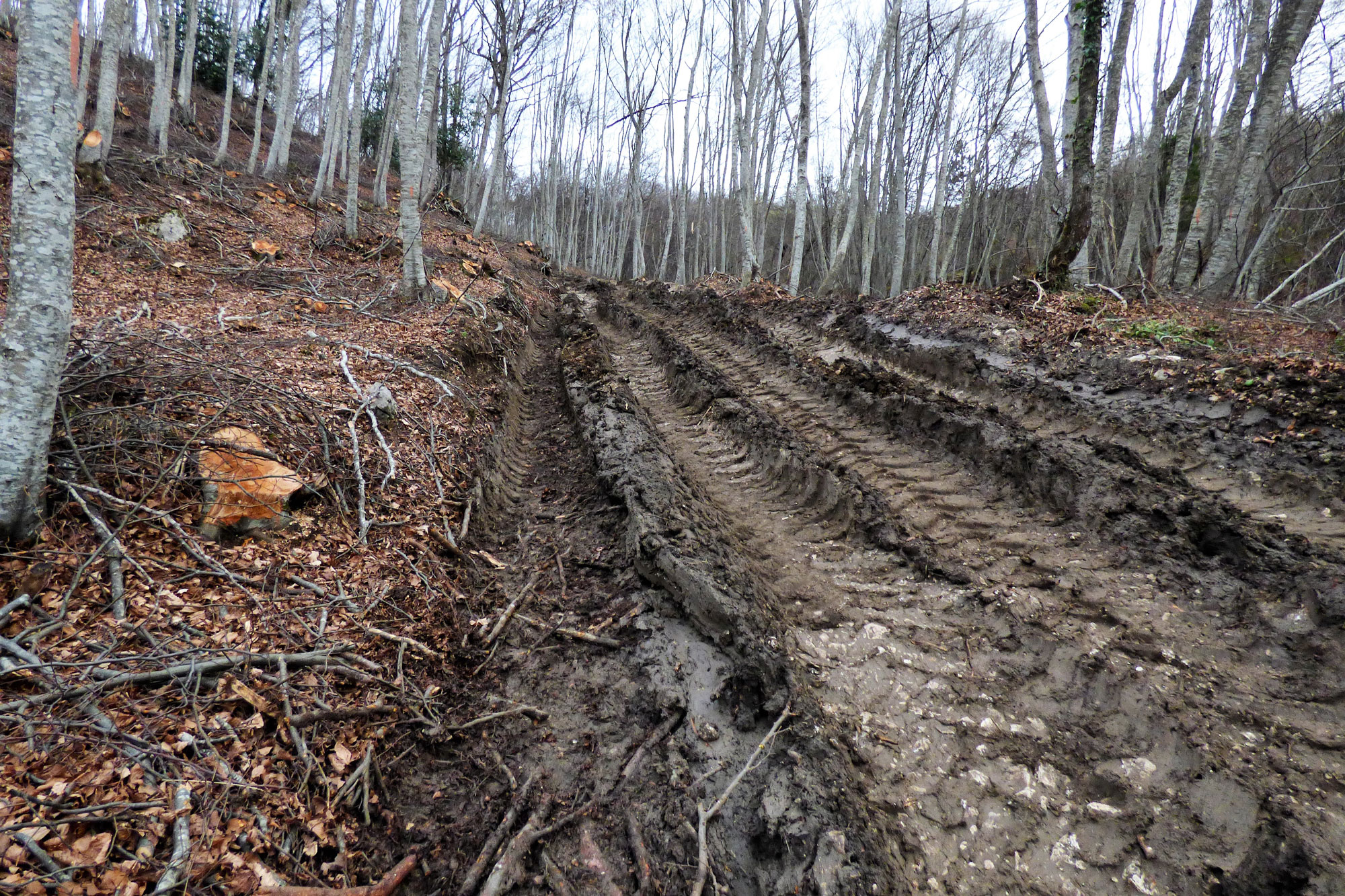 Danni nel cuore del parco della Majella, la denuncia di Appennino Ecosistema: violate aree protette