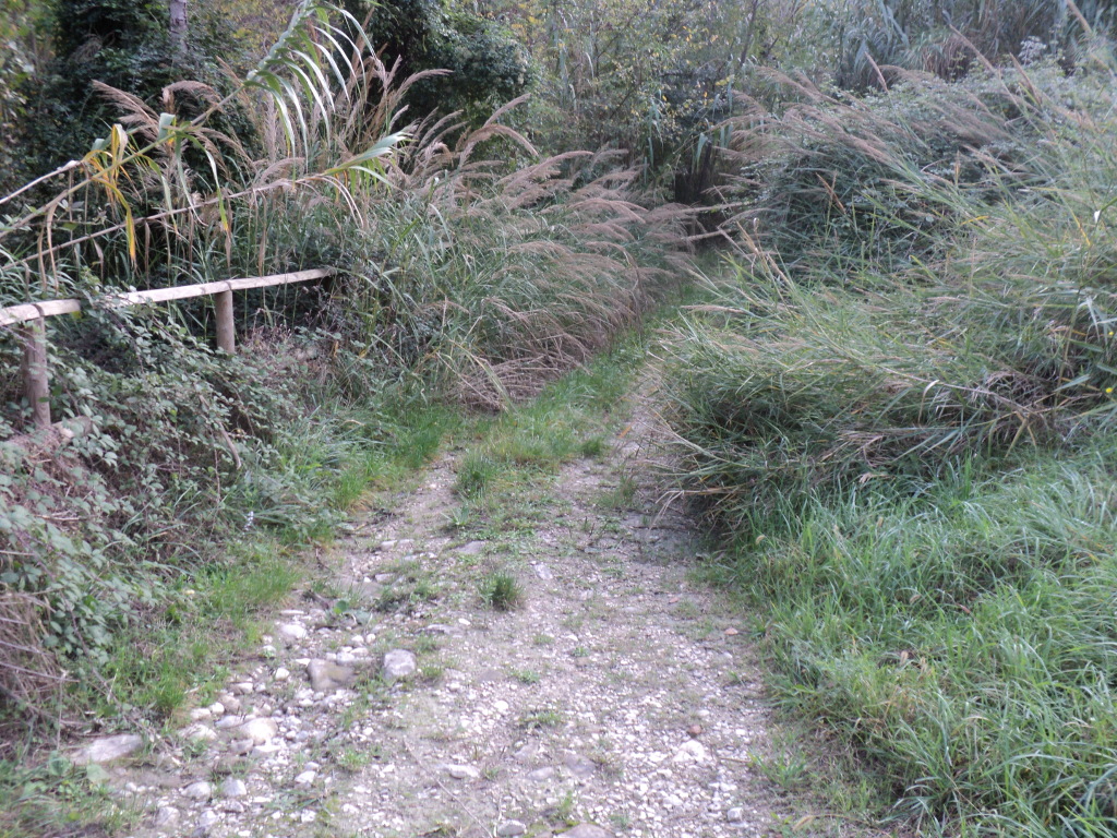 Intere voragini e pericoli nel fiume Vomano, la video-segnalazione di un cittadino: è tutto come prima