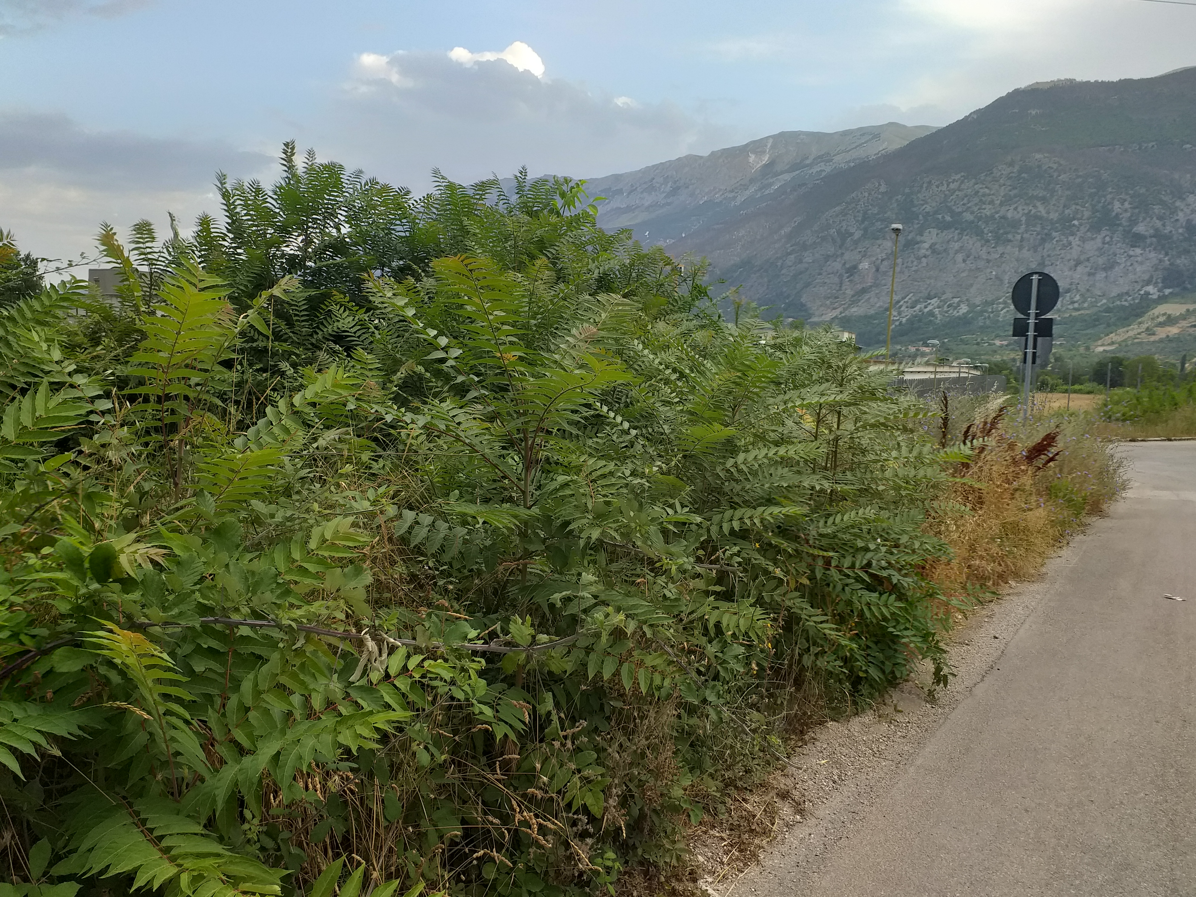 Sulmona, la zona del carcere è in degrado: la denuncia del sindacalista Uil Mauro Nardella