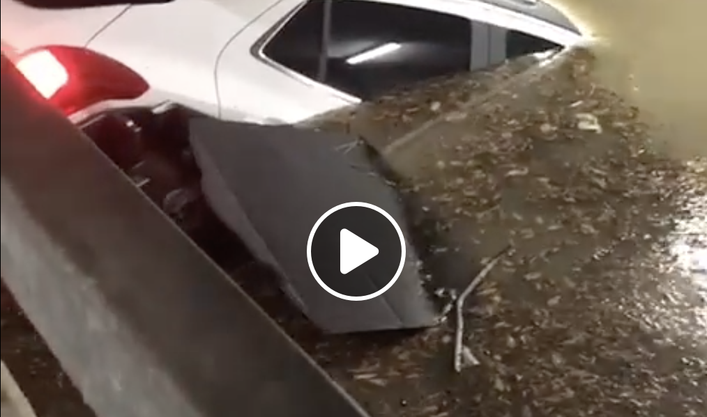 Maltempo a Pescara, ospedale allagato. Stop sale operatorie, acqua alta 2 metri nei parcheggi (video)