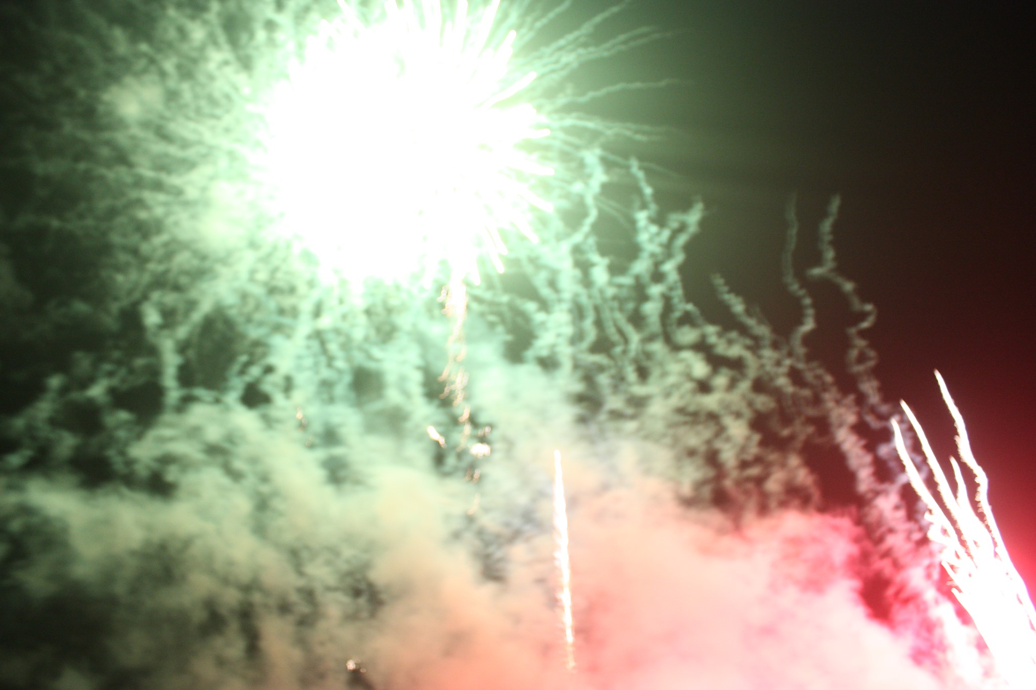 Fuochi pirotecnici nel cuore del Pnalm, la rivolta corre sul web: “è così che tutelate l’orso?”