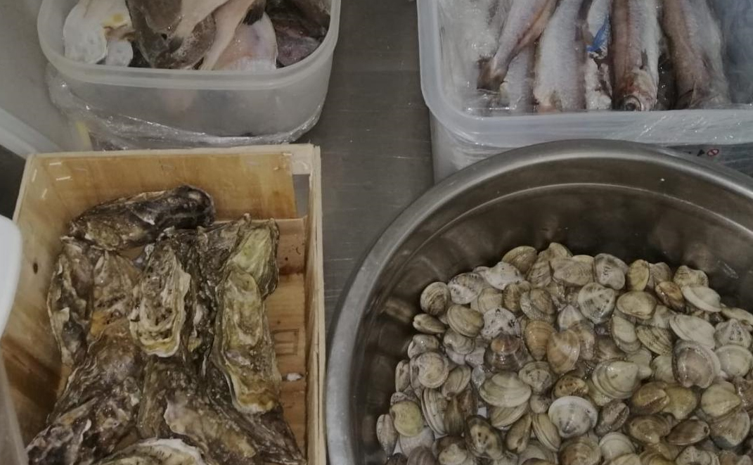 Blitz della guardia costiera di Giulianova nei ristoranti sul mare, sequestrati due quintali di pesce