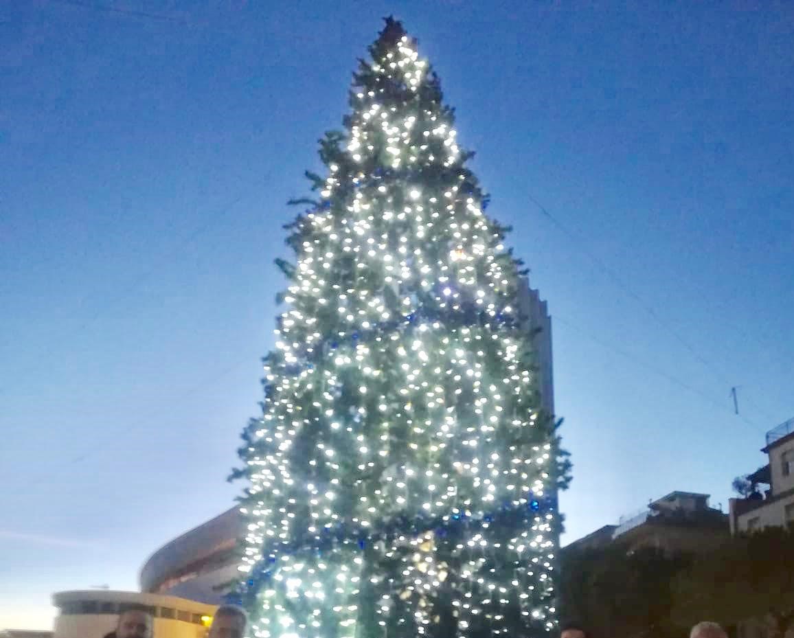 Giulianova, la Cosmo srl regala alla cittadinanza un albero di Natale alto 12 metri
