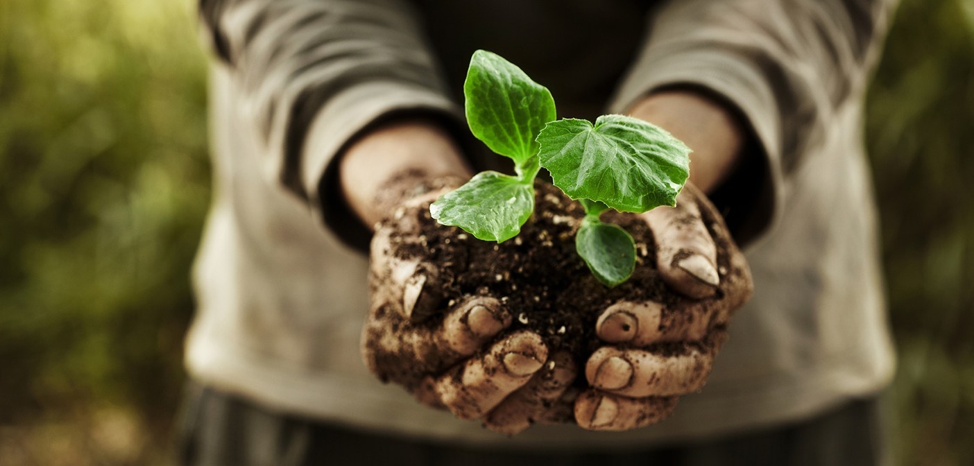 Festeggiamenti per l’8 marzo, Coldiretti “in Abruzzo il 10mila imprenditrici agricole”