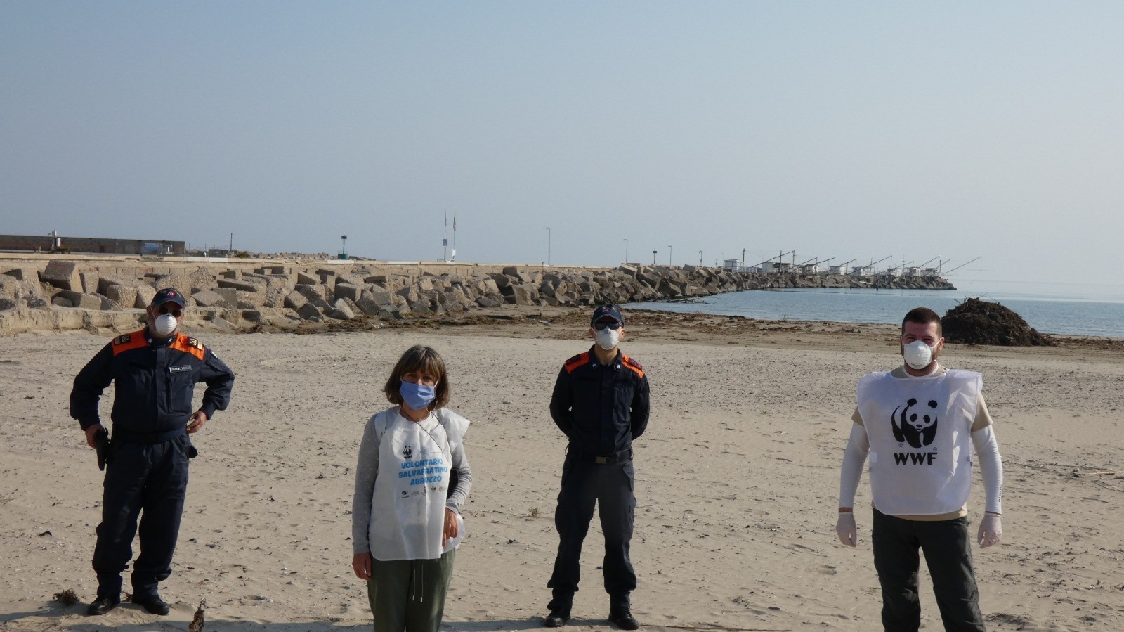 Coronavirus, l’appello del Wwf ai balneatori: pulizie delle spiagge, tutelare specie simbolo della costa abruzzese