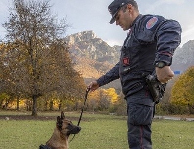 Strage di cani, torna l’incubo dei bocconi avvelenati: rischio per il cane antiveleno dei carabinieri forestali