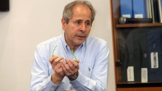 “Non riaprirei le discoteche. L’app Immuni? Soldi buttati”, lo afferma il virologo Crisanti