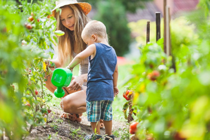 Coronavirus e fase 2, Coldiretti Abruzzo propone la scuola in fattoria: la campagna per la formazione di studenti