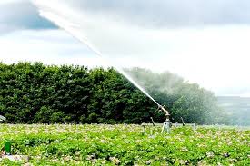 Diga di Chiauci, preoccupazione per l’agricoltura. Cia Chieti- Pescara: “Cattiva gestione del Consorzio di Bonifica Sud”