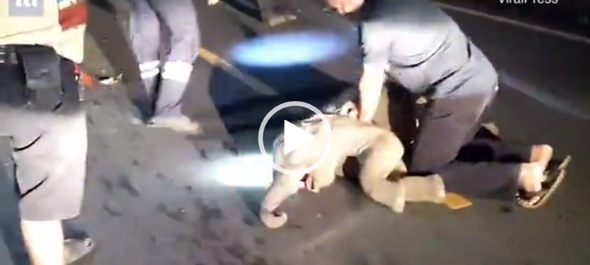 Elefantino investito salvato con massaggio cardiaco (Video), la storia di Natale fa il giro del mondo
