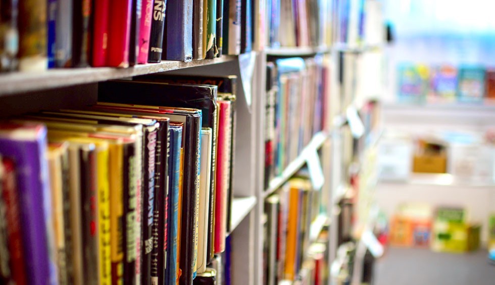 Dall’Abruzzo al Giappone, fumettista diventa celebrità: in Italia non c’è meritocrazia