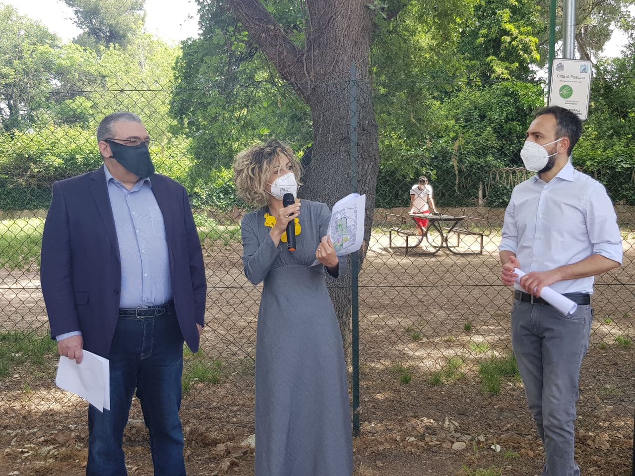 Via Pantini a Pescara, M5S: “La scure di Masci si abbatte sui primi alberi”