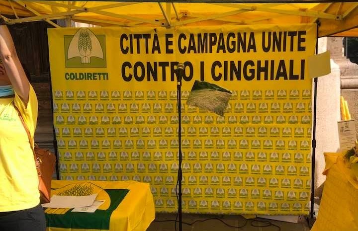 Stop cinghiali, gli agricoltori protestano a Montecitorio: “Fermare calamità che assedia l’Italia”