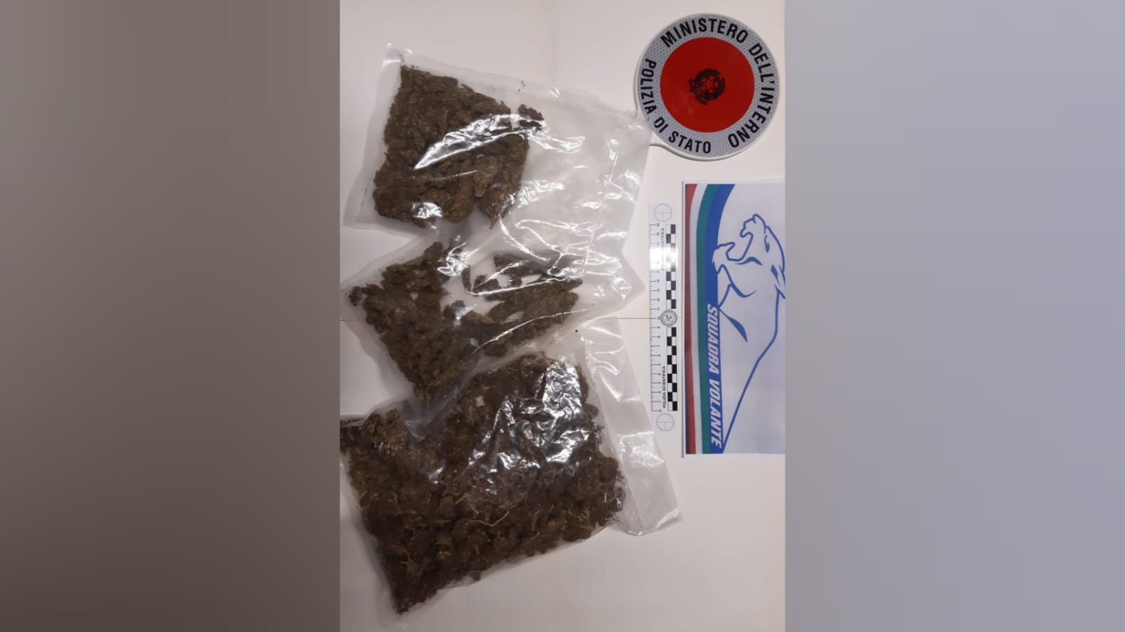 Pescara, rinvenuti e sequestrati 3 etti di marijuana in terreni agricoli