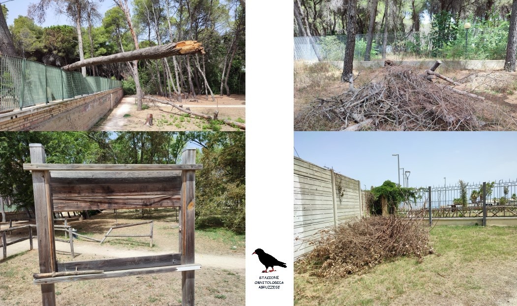 Incendio Pineta dannunziana, la stazione ornitologica abruzzese pronta a diffidare il Comune