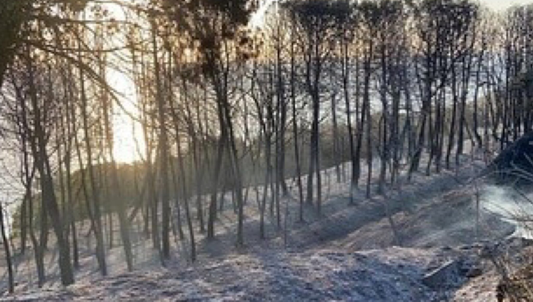 Incendi, il Comune di Ortona chiede lo stato di emergenza e stanzia fondi