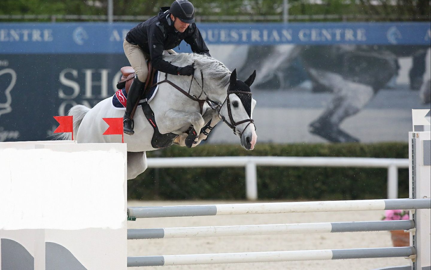 Equitazione: successo dell’aquilano Bucci al Csi Circo Massimo, le congratulazioni di sindaco e assessore 