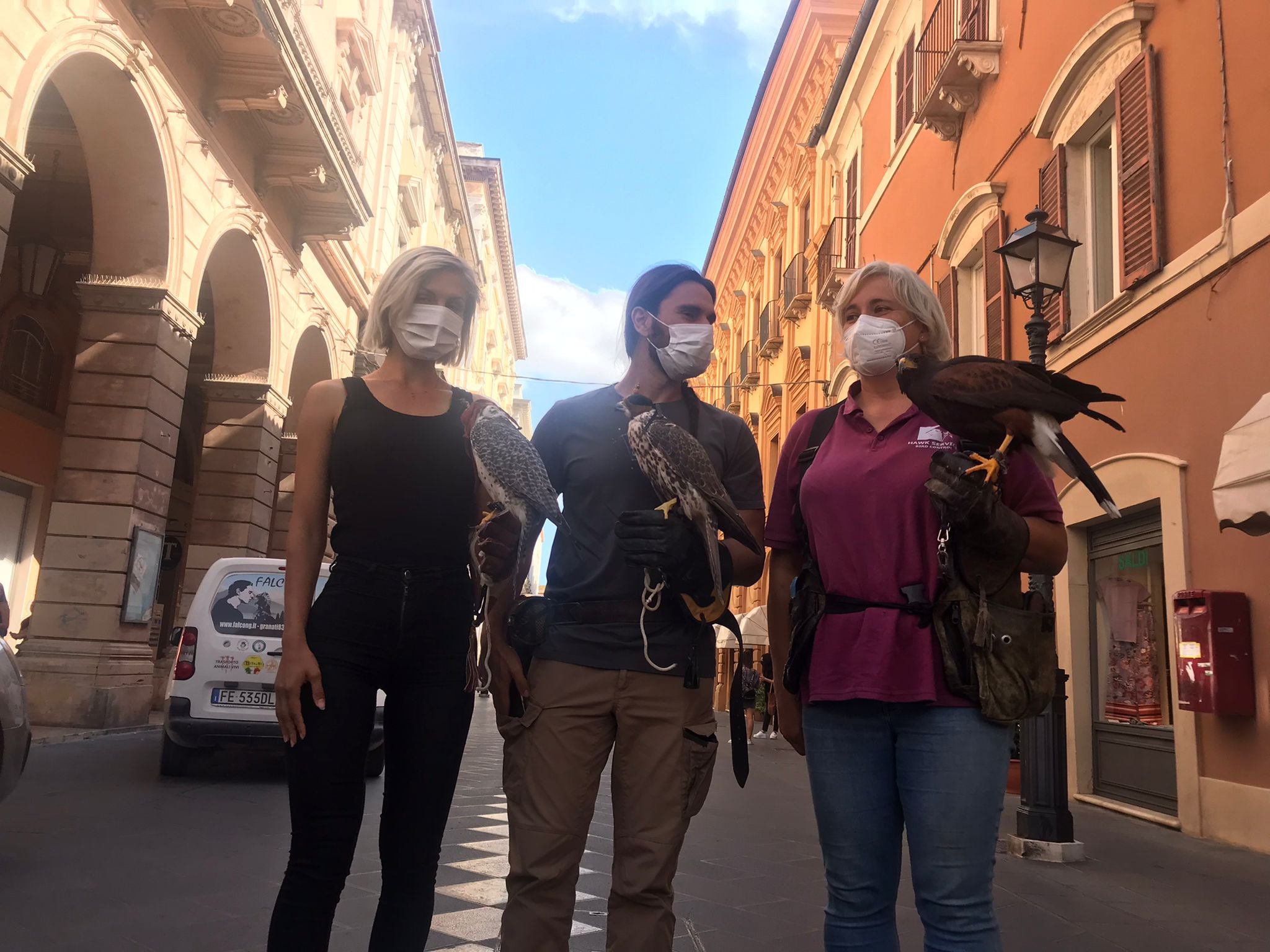 Chieti invasa dai piccioni: il Comune mette in campo falchi e poiane (FOTO)