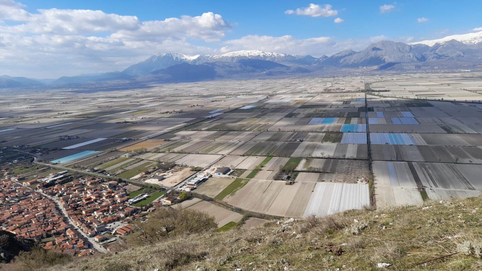 Agricoltura, 56mila giovani tornano alla terra: +36% iscrizioni scuole agraria