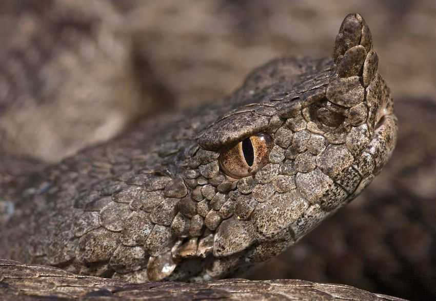 “L’Aquila Città Europea dello Sport 2022”: fino al 20 novembre proposte da inserire nel calendario eventi