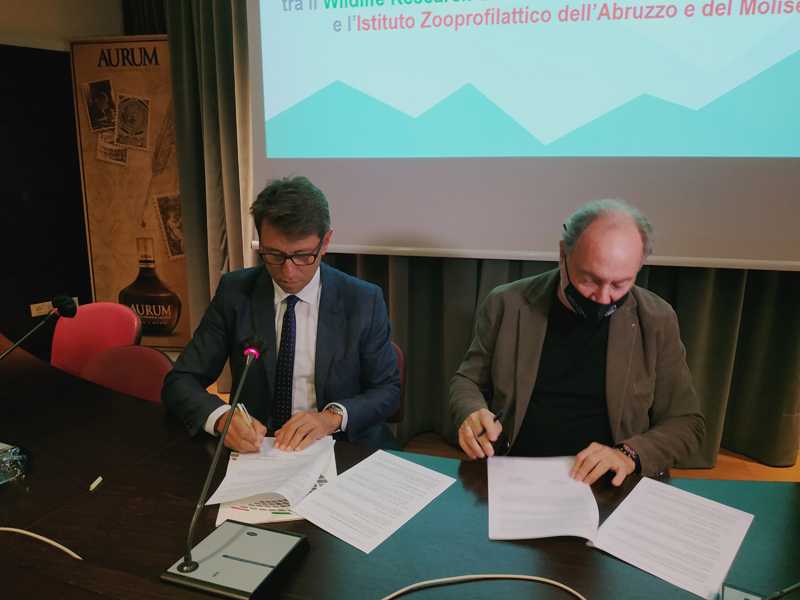 Salute degli animali: firmato accordo di collaborazione scientifica tra Parco Nazionale della Maiella e l’Izsam
