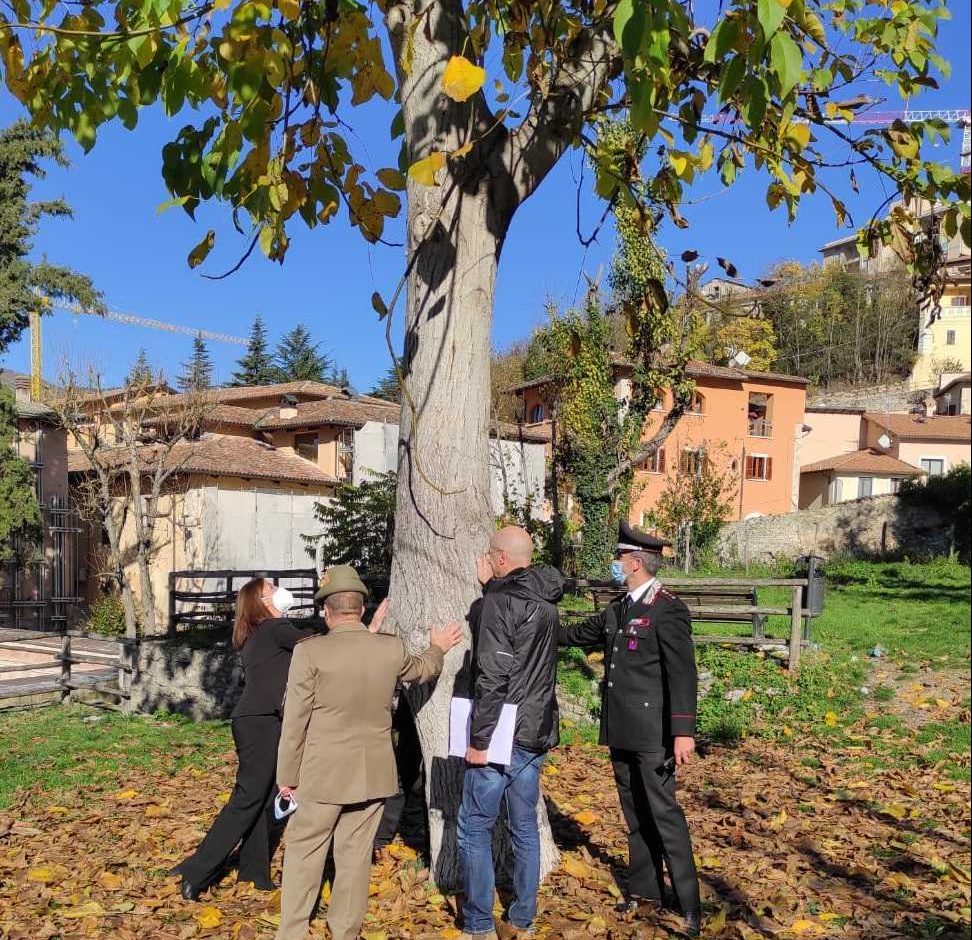 La gioia di trovarsi in armonia con la Natura: la giornata degli alberi con assessori, carabinieri e alpini
