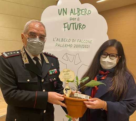 Dalla solidità delle radici alle gemme della legalità: carabinieri portano albero di Falcone in tutte le Regioni