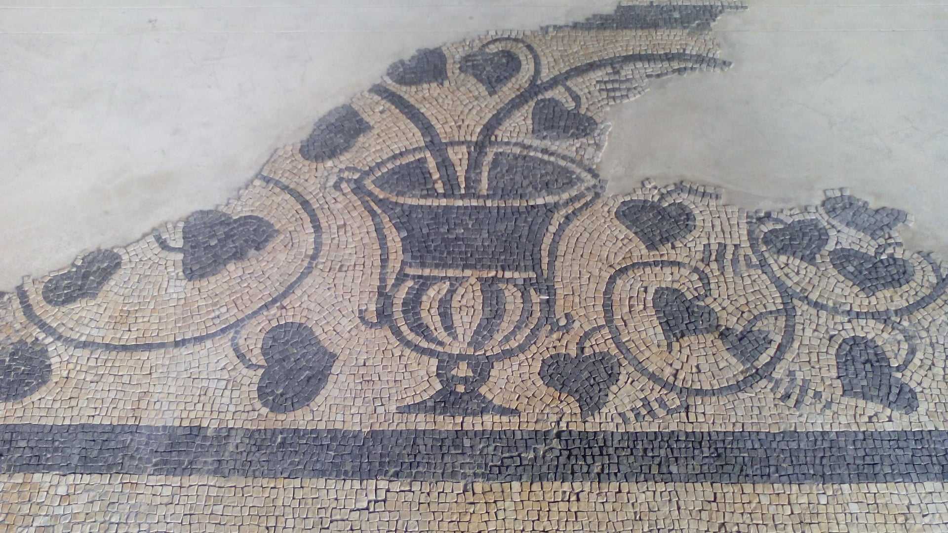 Eventi 50 anni dell’Archeoclub Pescara: ultimo appuntamento dedicato al mosaico romano e i ritrovamenti al Rampigna