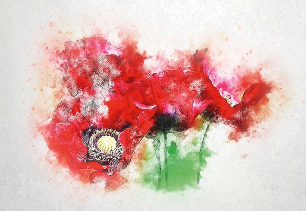 Penne, in Comune la presentazione della raccolta di poesie di Nicola D’Angelo “I Papaveri di Morfeo”