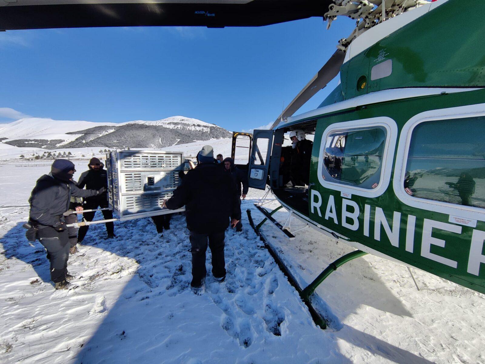 Madre Natura richiama Juan Carrito: è arrivato il letargo (e il silenzio…) per l’orso più famoso d’Abruzzo