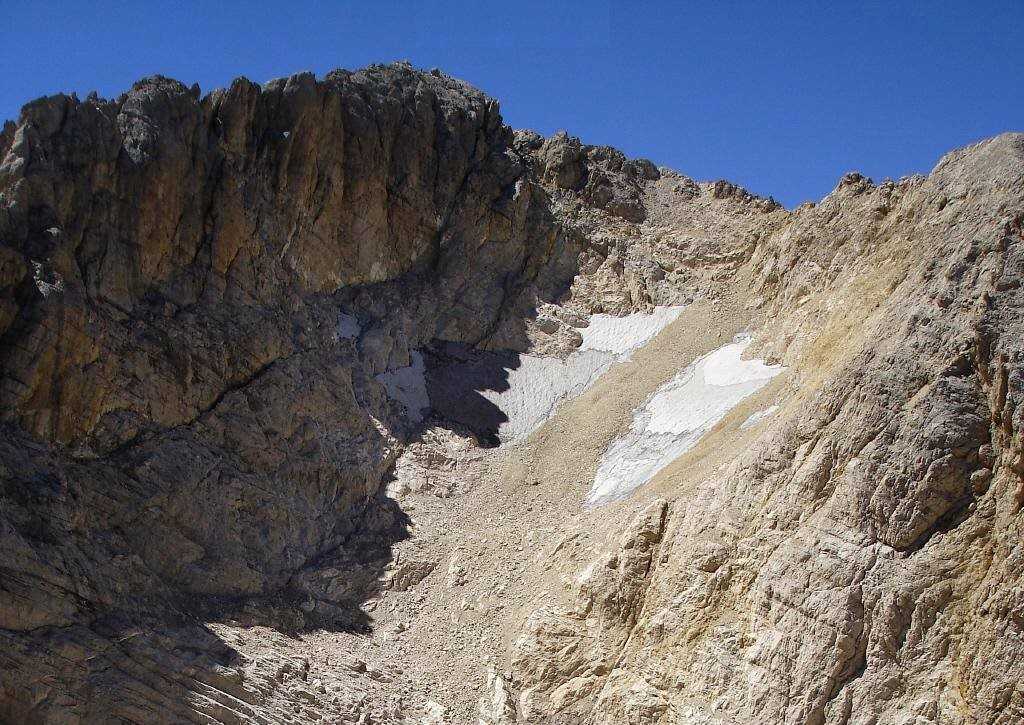 Nuova specie animale scoperta sul ghiacciaio Calderone del Gran Sasso