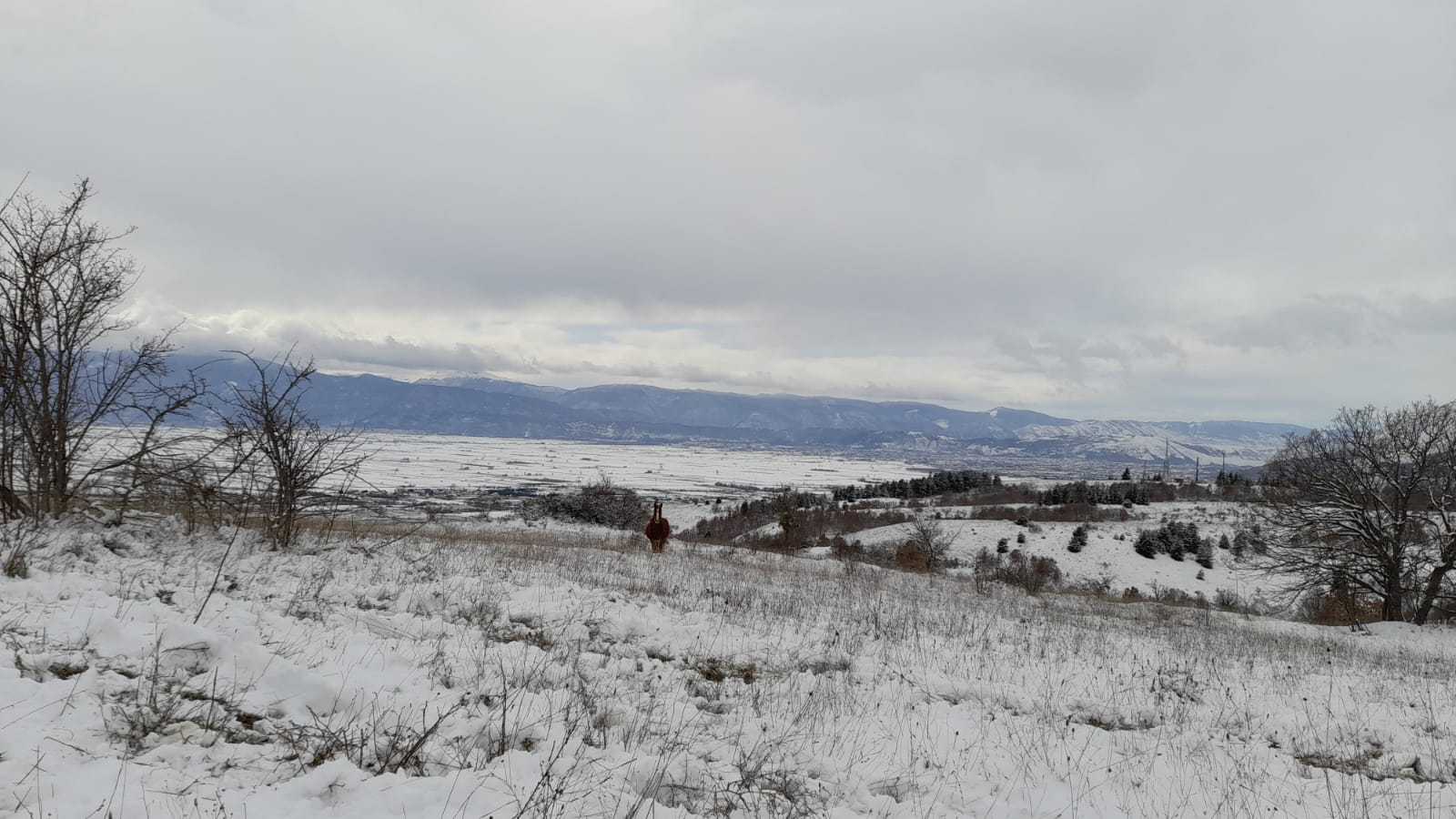 Rischio ghiaccio e neve per i “Giorni della Merla”: i dettagli