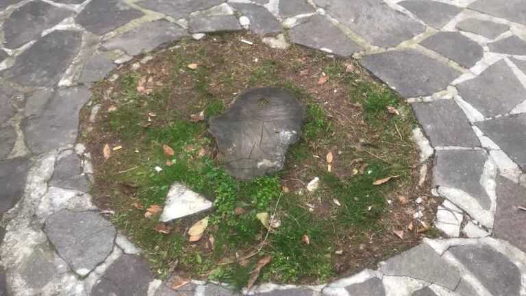 Il sindaco di Montorio al Vomano: “Noi responsabili, per la sicurezza dei cittadini e la tutela del verde”