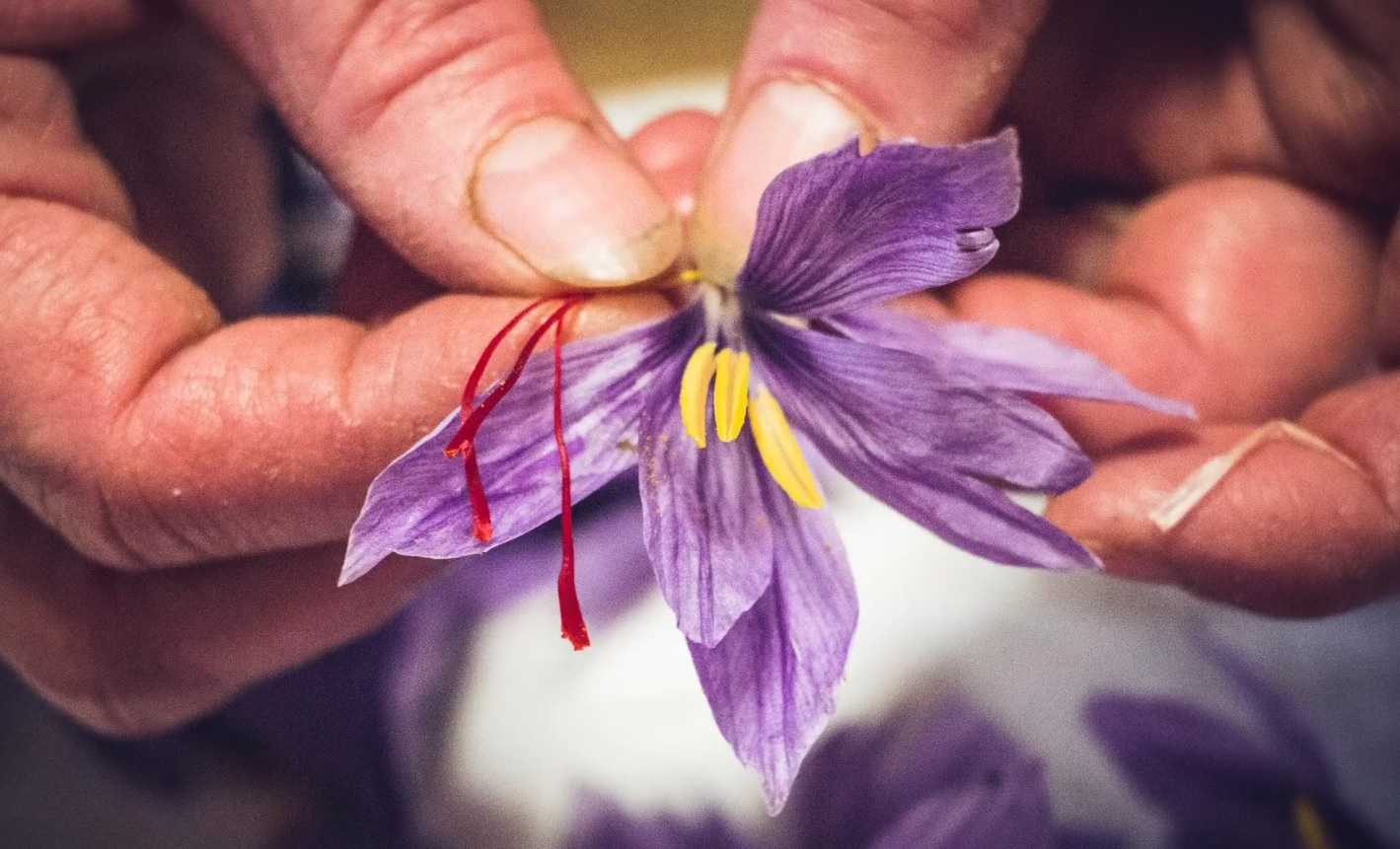 Expo Dubai, Imprudente: “In vetrina Abruzzo regione Benessere, nesso tra ambiente, cultura e agrifood qualità”
