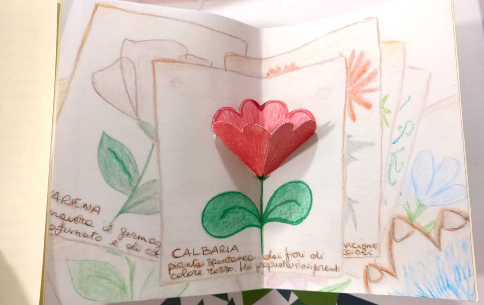 A Giulianova torna “GiocaCultura” nella biblioteca Bindi: laboratorio pop up “Fiori di primavera”