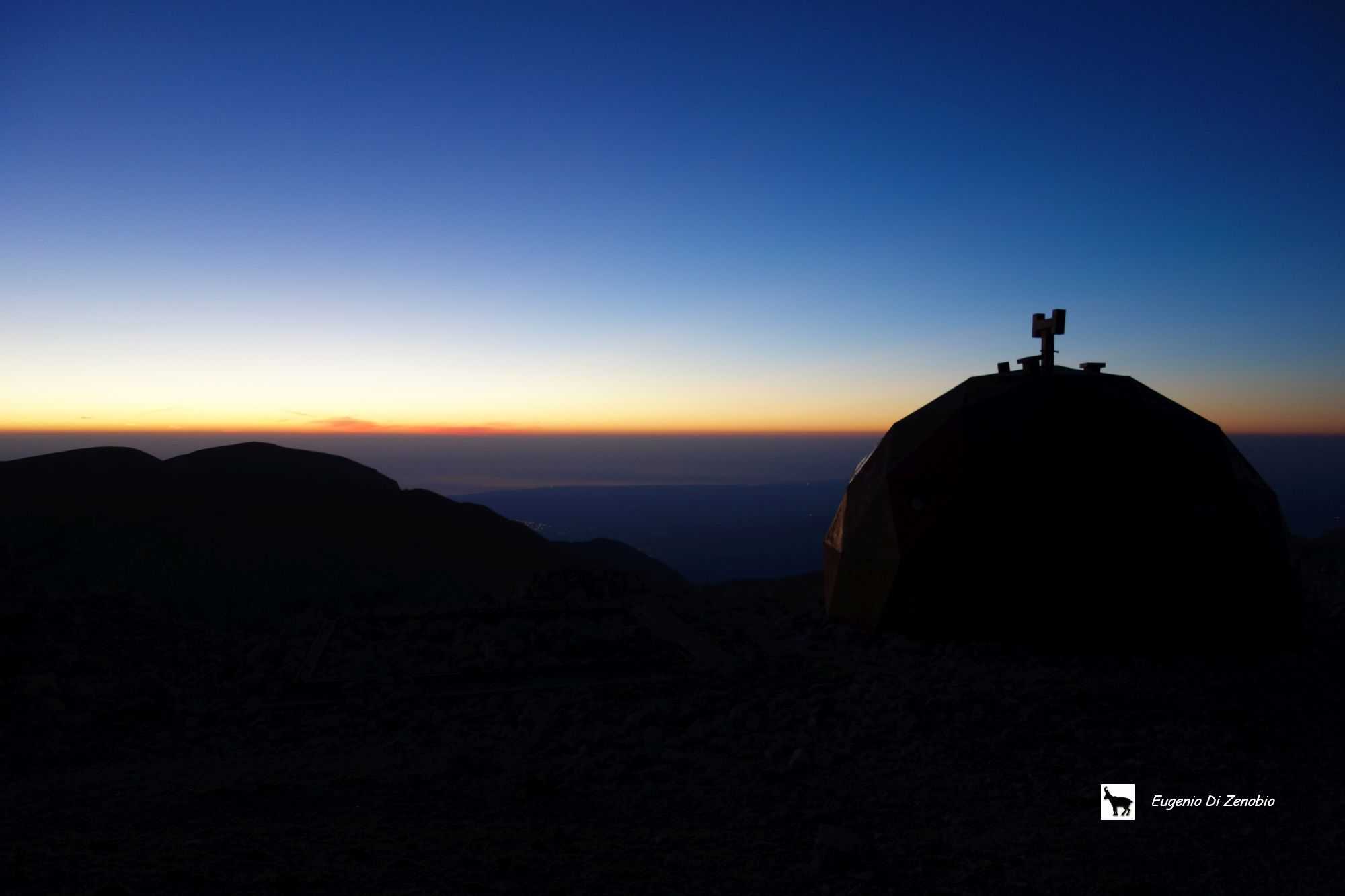 Wwf L’Aquila, al via gli aperitivi scientifici: si inizia il 4 con l’orso, tutti gli appuntamenti